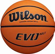 Image result for The Most Expensive Basketball in the World