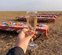 Image result for Champagne Celebration South Africa Safari Images