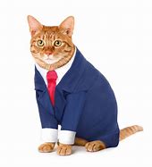 Image result for Cat in a Suit Meme