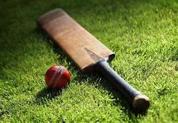 Image result for Cricket Bat Line