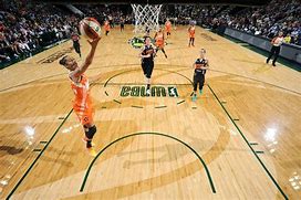 Image result for WNBA Court