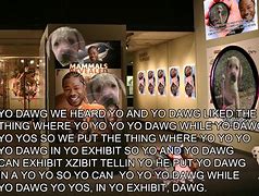 Image result for Funny Yo Dawg Meme