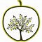 Image result for Clip Art of Apple Tree
