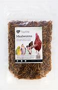 Image result for Dried Mealworms Packing