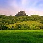 Image result for natures
