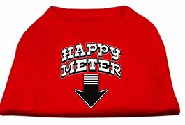 Image result for Fun Meter Shirt