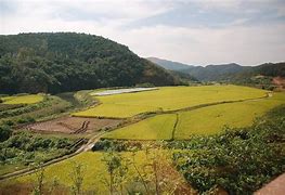 Image result for Rural North Korea