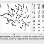 Image result for citodiagnosis