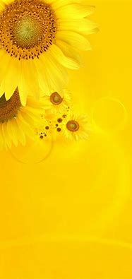 Image result for Free iPhone Background Yellow