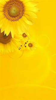 Image result for Yellow Mobile Wallpaper