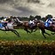 Image result for Horse Racing Wallpaper 2256 1504