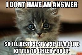 Image result for Answer Me Kitten Meme