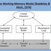 Image result for Alan Baddeley's Model of Working Memory