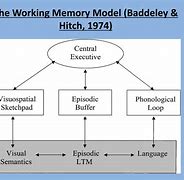 Image result for What Is Working Memory Theory