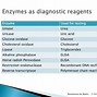 Image result for Therapeutic Enzymes
