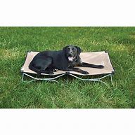 Image result for Camping Dog Bed