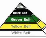 Image result for Lean Six Sigma Pyramid