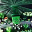 Image result for Green Lantern Birthday Theme