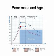 Image result for Mayo Clinic Bone Density Chart