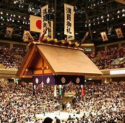 Image result for Sumo Wrestling Arena