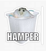 Image result for Hmaper Meme