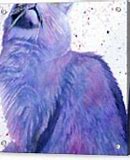 Image result for Galaxy Cat Art Purple