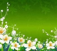 Image result for Yellow-Green Flower Wallpaper