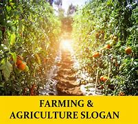 Image result for Farming Slogans