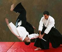 Image result for Aikido Images
