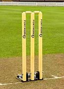 Image result for Pitc Visisonin Cricket