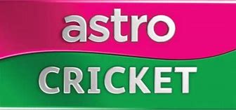 Image result for Metro PCS Cricket Logo