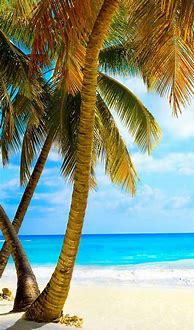 Image result for Tropical Beach Cell Phone Wallpaper