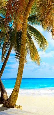 Image result for Beach Wallpaper for Phone