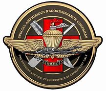 Image result for Navy Sarc Insignia