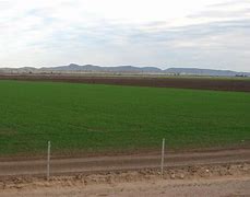Image result for Arizona Agriculture