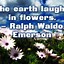 Image result for Earth Funny Quotes