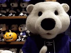 Image result for Carlton The Bear Toronto Maple Leafs Meme
