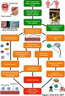 Image result for Hand Foot and Mouth Disease Essential Oils