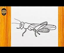 Image result for Cricket Bug Drawing