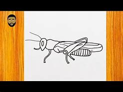 Image result for Cricket Bug Drawing