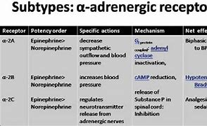Image result for Adrenaline Receptors
