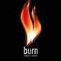 Image result for Apple iTunes Burn Logo