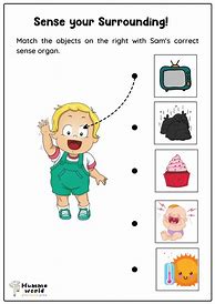 Image result for Five Sense Organs Worksheet