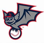 Image result for Bats Baseball Team