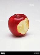 Image result for Newton Bite Apple