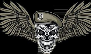 Image result for Military Skull Wallpaper