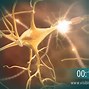 Image result for Neuron Parts