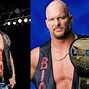 Image result for Stone Cold Steve Austin Punching Bag Inflatable