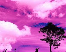 Image result for Pink Background for PC