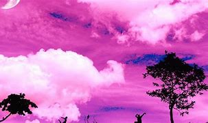 Image result for Color Pink Wall Paper